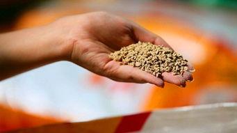 饲料安全爆料视频,视频曝光行业黑幕